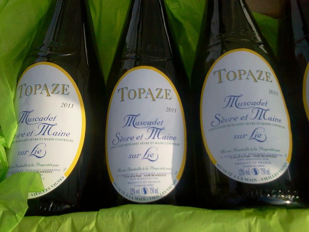 Topaze Sejour Chez Le Vigneron Monnieres  Kültér fotó